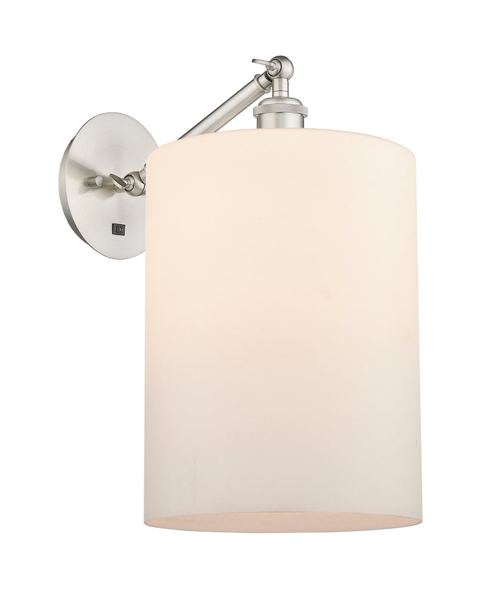 Brushed Satin Nickel / Matte White