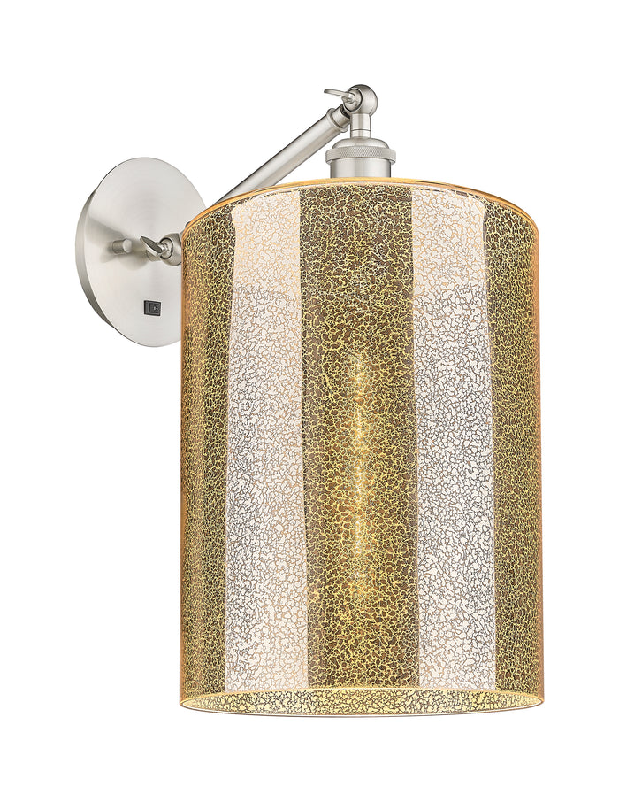 Brushed Satin Nickel / Mercury