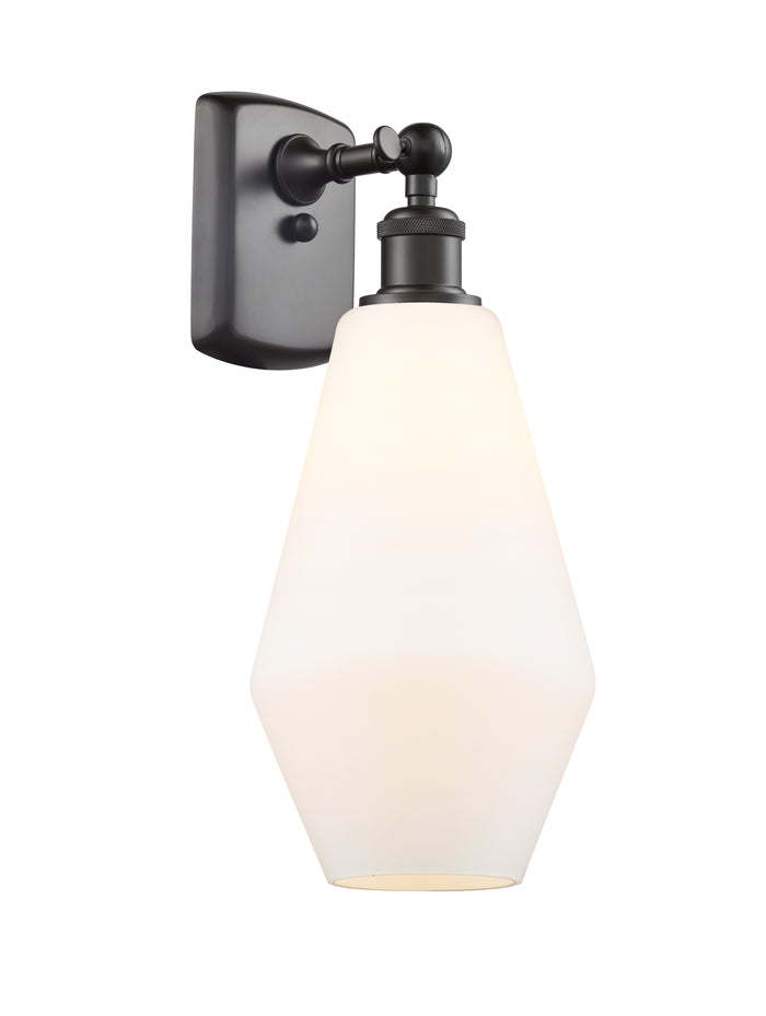 Oil Rubbed Bronze / Cased Matte White