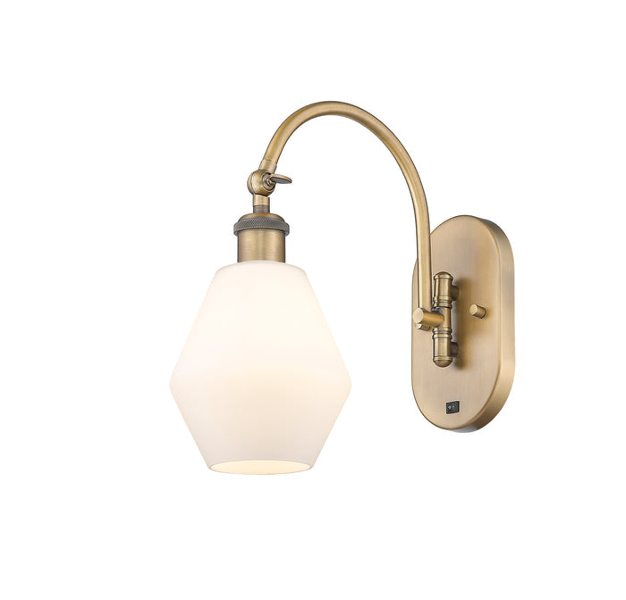 Brushed Brass / Cased Matte White