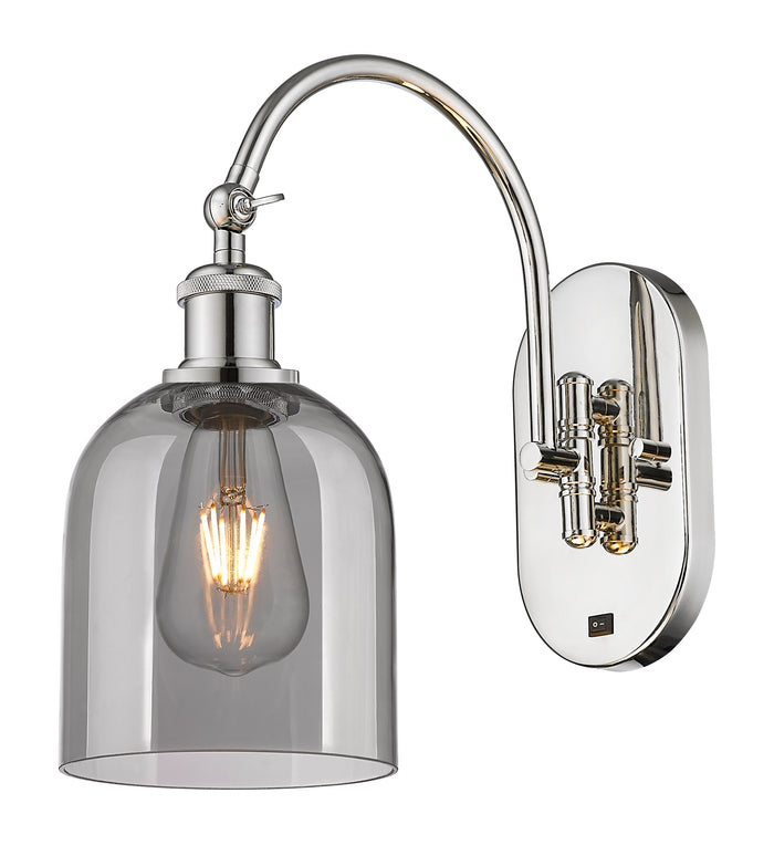 Polished Nickel / Light Smoke