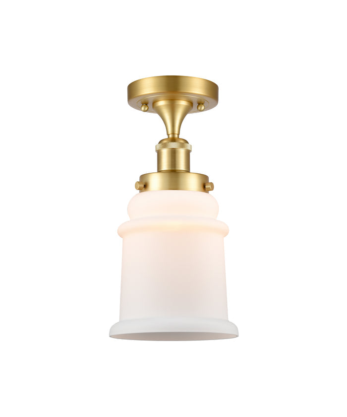 Satin Gold / Matte White