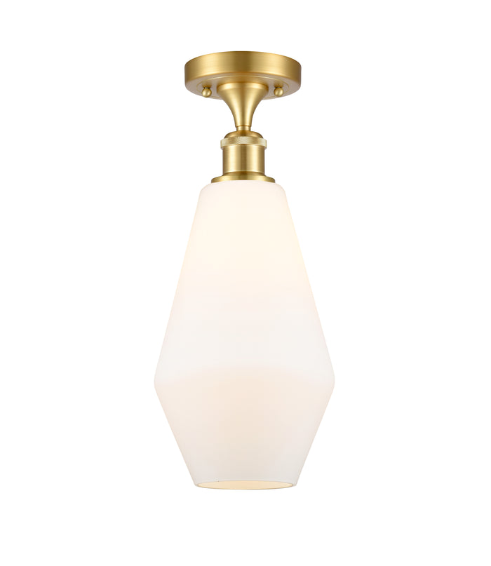 Satin Gold / Cased Matte White