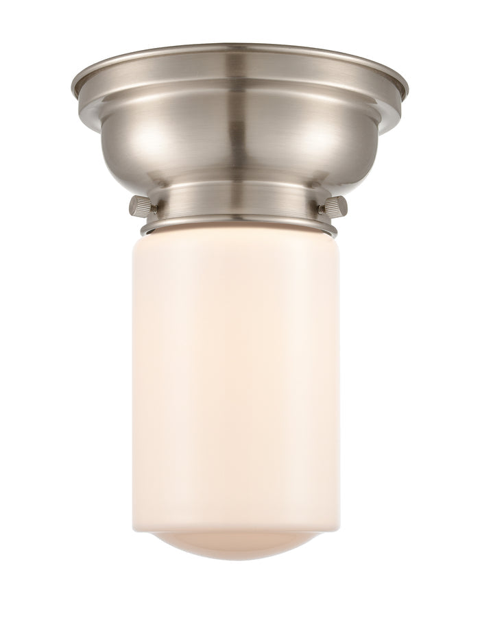 Brushed Satin Nickel / Matte White