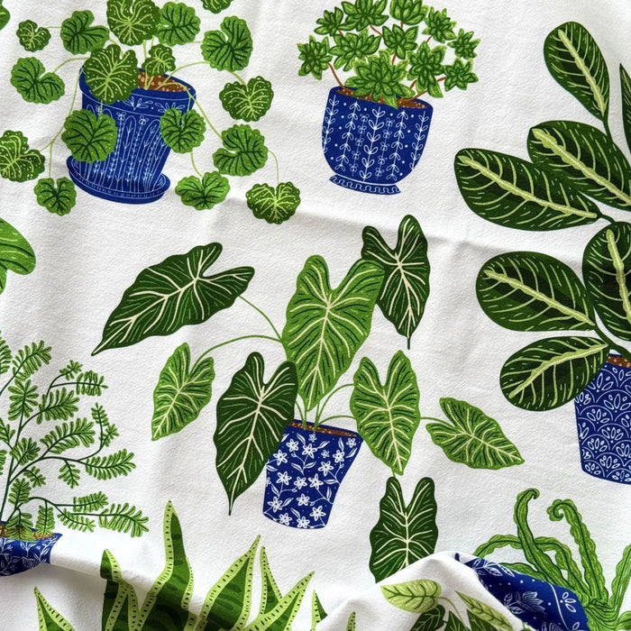 Limited Time Houseplant Tea Towel - Gingiber