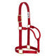 Weaver Original Non-Adjustable Halter , 1"