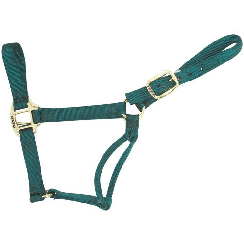 Weaver Original Non-Adjustable Halter , 3/4" Weanling/Pony